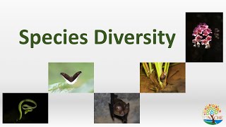 Species Diversity  Biodiversity Wildlife Conservation and Management3  NICHE [upl. by Babette]