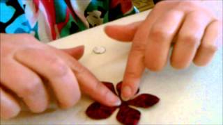 How To Applique The Periwinkle Step Two [upl. by Eilagam914]