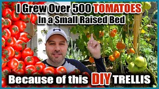 Grow Way More Tomatoes In Less Space  Best Way to Trellis Tomatoes EVER [upl. by Fendig]