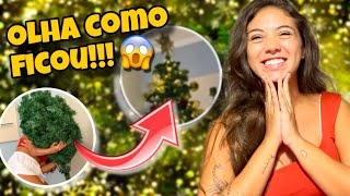 DECOREI MINHA CASA PARA O NATAL🎄❤️ montamos a árvore [upl. by Ariamat]