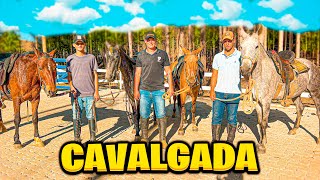 CAVALGADA com as ÉGUAS RECEPTORAS [upl. by Harbird]