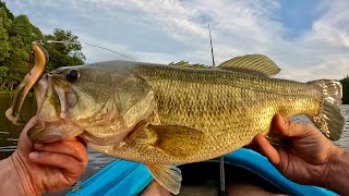 Fishing Topwater for BIG Bass in July [upl. by Berg]