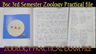 Bsc 2nd Year 3rd Semester Zoology Practical Exam File  Zoology Practical Exam File zoology [upl. by Rigby]