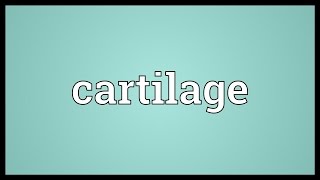 Cartilage Meaning [upl. by Anna]