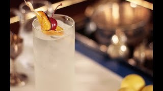 How To Make The Popular Tom Collins Cocktail  Food Lovers [upl. by Huba]