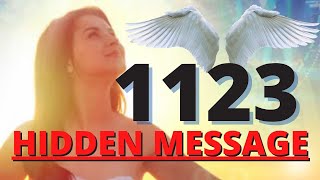 Angel 1123 Hidden Message Gods Divine Plan For Your Life Is At Play [upl. by Aneles902]