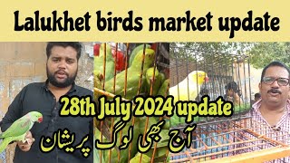 Lalukhet birds market updateSunday 28th July 2024 update لالوکھیت برڈزمارکیٹ [upl. by Nala]