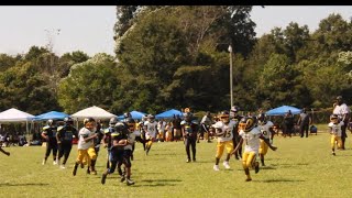 MIddle Ga Power 8u ⚡️ vs Cordele Cobra’s 🐍 [upl. by Naicad345]