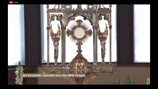 LIVE Eucharistic Adoration on EWTN [upl. by Llerrud]