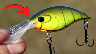 EVERY Fisherman Should Know THIS About CRANKBAITS [upl. by Wright]