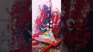 🙏jawaripur kali maa🙏❤️ maa kali status jawaripur kali mandirkali dj kalikakalilove shorts [upl. by Olva]