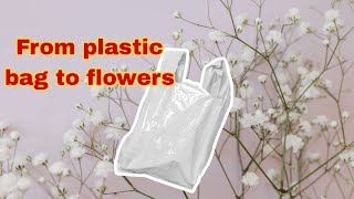 Make beautiful flowers from plastic bagBaby breath from plastic recycling project [upl. by Strephonn]