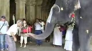 Srirangam Temple [upl. by Erin609]