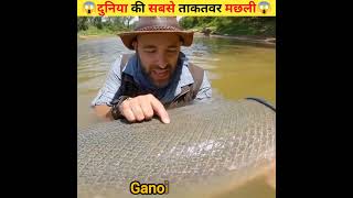 दुनिया की सबसे ताकतवर मछली facts trending fishing dangerous fish interesting fact 197 shorts [upl. by Jeni]