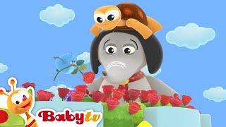 Ring a Ring O Roses 🌹🌹  Nursery Rhymes amp Songs for Kids 🎵 BabyTV [upl. by Enaasiali]