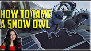 How To Tame A Snow Owl Best Healer amp Everything You Need To Know  Ark Extinction [upl. by Corneille]