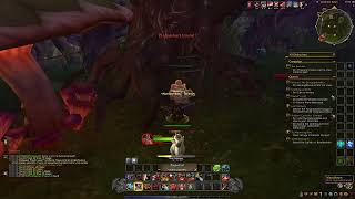 World of Warcraft the war within play Havezon ep 5 [upl. by Rehpotsirahc]