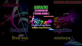 Gelandangan  Rhoma Irama  Karaoke Dangdut Lawas shorts gelandangan rhomairama karaoke dangdut [upl. by Norraa]