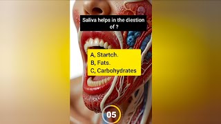 Anatomy Quiz anatomy quiz [upl. by Kast]