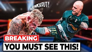 Boxing Experts DESTROY Jake Paul with BRUTAL Takedown — You Wont Believe This [upl. by Nolrak530]