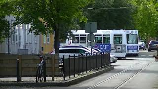 Gråkallbanen Tram in Trondheim Trikken i Trondheim [upl. by Tyne60]