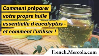 Comment préparer votre propre huile essentielle d’eucalyptus  et comment l’utiliser [upl. by Toomin]