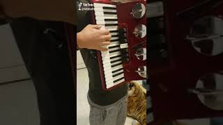 Best tik tok accordion meme ever 1 [upl. by Anival400]