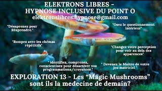 EXPLO 13 LA PSILOBYCINE substance psychédélique des Magic Mushrooms estelle une médecine de demain [upl. by Ttessil920]