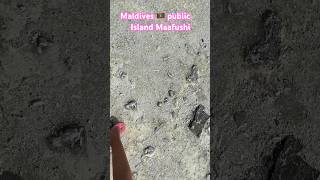 Maafushi 2024 public island Maldives [upl. by Brandtr]