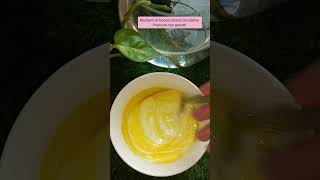 Yogurt Hair Mask yogurt hairmask hairgrowth homeremedies remedies shorts trendingshorts [upl. by Ivz]