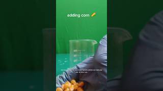 Piranha solution vs corn piranha destroyer exothermic experiment popcorn viralvideo [upl. by Naro]