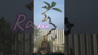 Bonsai Tree Trunk Formation Process [upl. by Heiskell983]