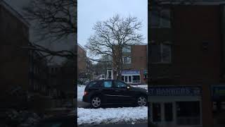 Black locust  tree in the snow  March 2018 [upl. by Rogerson]