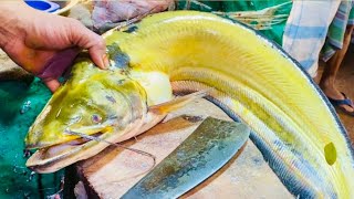 Amazing Wallago Attu Boal Fish Cutting Live Techniques  Expert Quick Tips amp Tricks [upl. by Borrell]