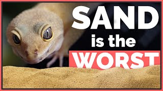 Why Sand is the Worst Pet Reptile Substrate with 10 Common Arguments [upl. by Feerahs]