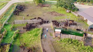 Day In The Life Of A South Dakota Rancher [upl. by Siseneg]