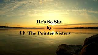 Hes So Shy by The Pointer Sisters [upl. by Eissahc]