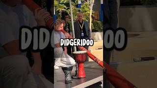 Mesmerizing Didgeridoo Performance Journey into Australian Sounds didgeridoo australianmusic [upl. by Clauddetta]