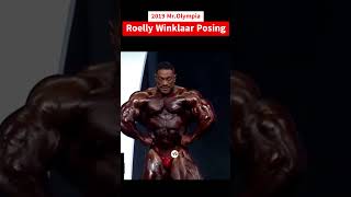 Posing Roelly Winklaar in 2019 Mr Olympia mrolympia shorts motivation fitness [upl. by Etta]