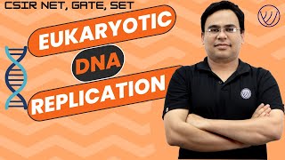 DNA REPLICATION IN EUKARYOTES  EUKARYOTIC REPLICATION AND IT’S REGULATION  CSIR NET LIFE SCIENCE [upl. by Teak]