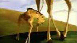 Lion King  Circle of life Zulu [upl. by Aranahs]