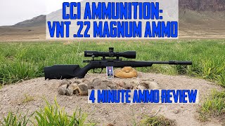 CCI VNT 22 Magnum  4 Minute Ammo Review with Ground Squirrel Hunt [upl. by Mariken]