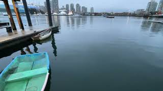 Rainy Friday Evening  Urban Sounds  Nov 01 2024 vancouver falsecreek autumn ocean relaxing [upl. by Dlanod]