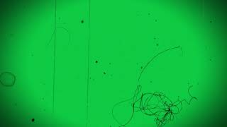 Old Film Screen  Green Screen  FILM DAMAGE OVERLAY  Aesthetic Overlay Green Screen  VHS [upl. by Eilema163]