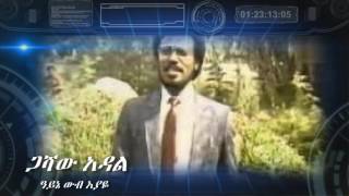 Gashaw Adal ዓይኔ ውብ እያዬ Ayne Wub Eyaye [upl. by Aitnahs]