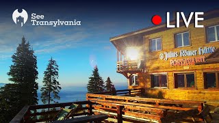 Julius Römer Hütte  Cabana Postavarul  🔴 Poiana Brasov Live Webcam Partia Lupului [upl. by Novla118]