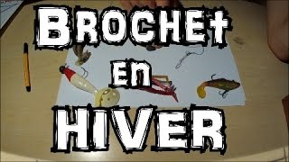 Pêche des Carnassiers en Hiver  Explications et Animations  GoPro HD [upl. by Carter946]