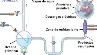 EXPERIMENTO DE MILLER BIOLOGÍA MOLECULAR EA [upl. by Denice]