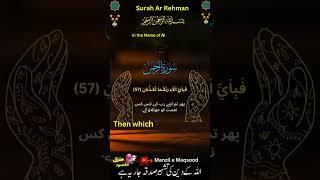 Surah ArRehman Verse 57 HD With Beautiful Recitation and English Translation سورة الرحمان [upl. by Keiko]