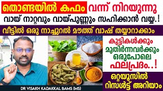 തൊണ്ടയിൽ കഫം വന്നു നിറയുന്നു വായ്നാറ്റം വായ് പുണ്ണ് മോണ രോഗം മാറാൻ ഒരു നാച്ചുറൽ മൗത്ത് വാഷ് [upl. by Ettezel74]